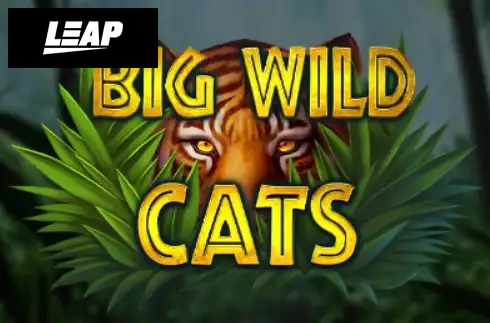 Big Wild Cats